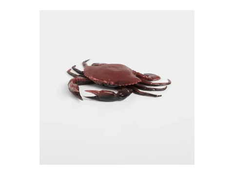 Savage Gear 3D Crab PVC krabja imitācija New Penny krāsā