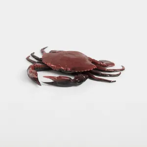 Savage Gear 3D Crab PVC New Penny krāsa