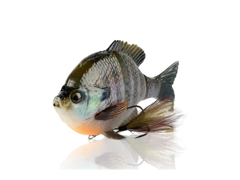 Savage Gear 3D Line Thru Bluegill OG saulesasaris Male Bluegill krāsā