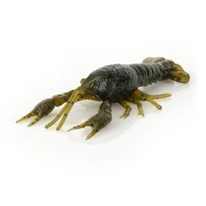 Savage Gear 4D Craw Green Pumpkin krāsa