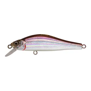Strike Pro Archback 80SP #A53