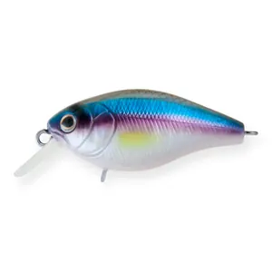Strike Pro Cranky 40 #A210-SBO-RP