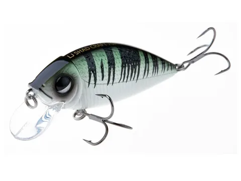 Lucky John Shad Craft 7F #A024