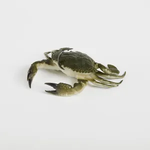 Savage Gear Toughtec Crab Green Crab krāsa