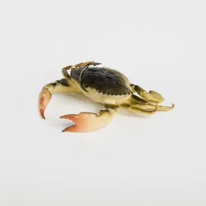 Savage Gear Toughtec Crab Light Brown Olive krāsa