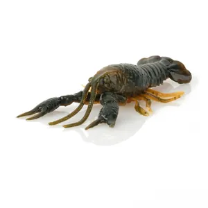 Savage Gear Toughtec NED Craw Alabama Craw krāsa