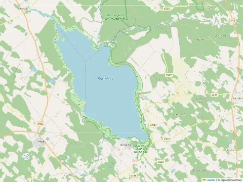 Burtnieks kartē
